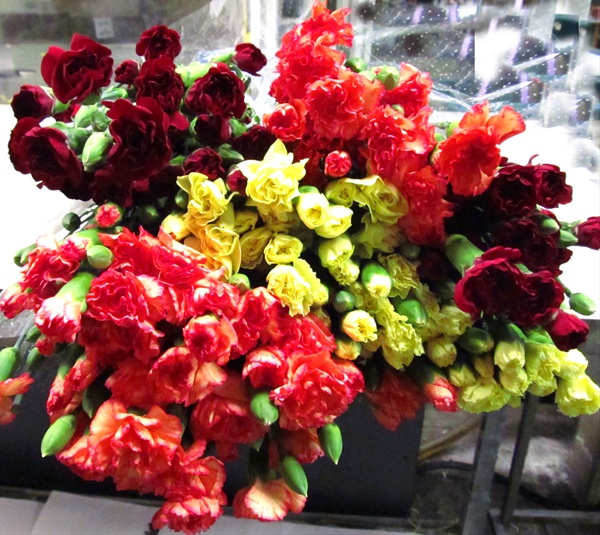 Mini Carn Novelty Mix Mini Carnation Carnations Flowers by